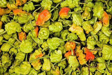 《暗黑4》主题头像上线战网客户端 包含莉莉丝等